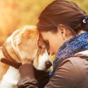How Dogs Can Improve Your Quality of Life