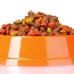 Dry Dog Food 