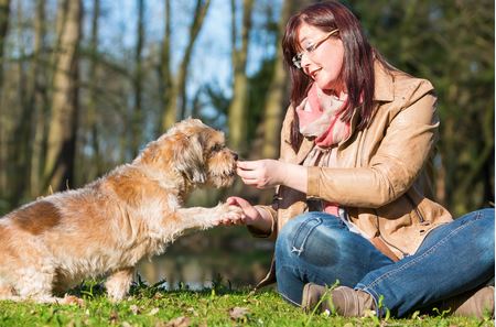 Dog Treats 