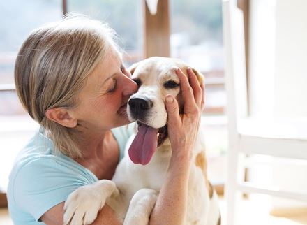 Making Dogs Happy