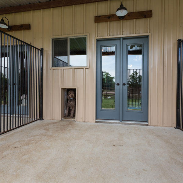 Tailwaggers_06_LodgePatio_0251