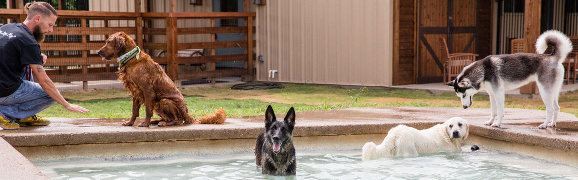 Dog Boarding & Grooming Resort in Dallas TX by Tailwaggers Country Inn