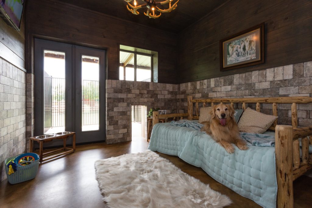Golden retriever lying on a wooden bed in a cozy room with brick walls, a fluffy rug, and a chandelier.