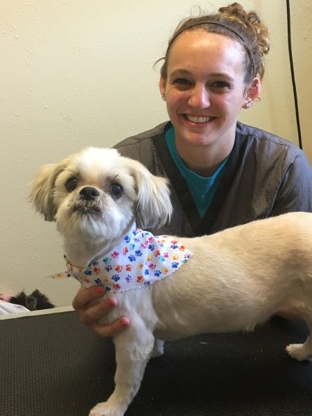 Dog Groomers