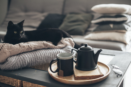 Benefits of Owning a Pet Camera