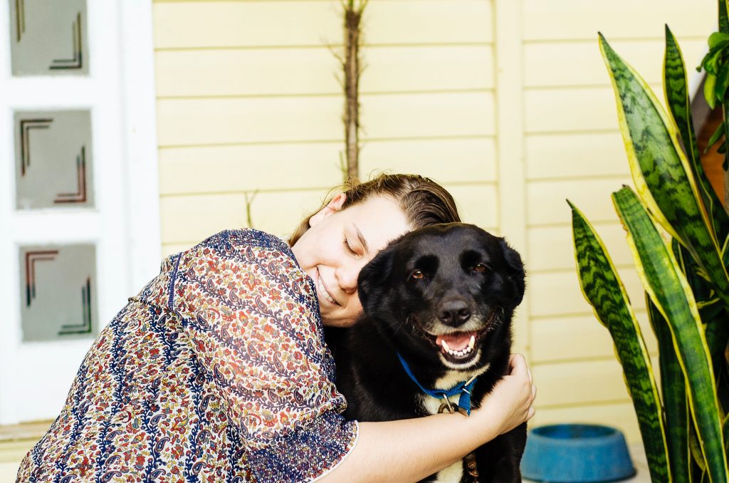 Calming an Anxious Dog