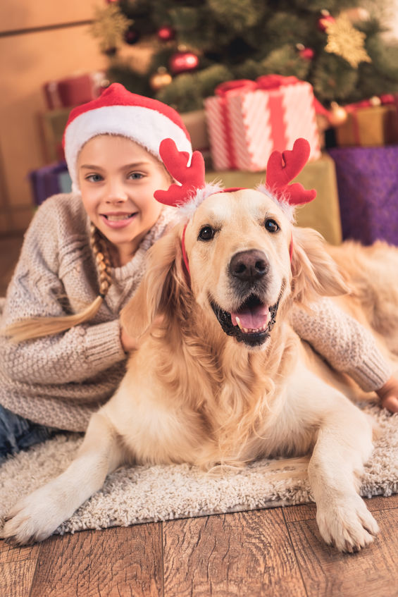 Holiday Pet Safety