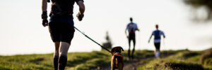 Running with Your Dog