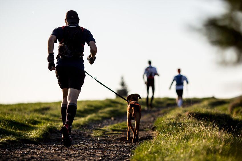 Running with Your Dog